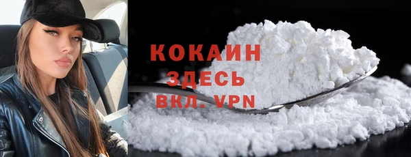дживик Абинск