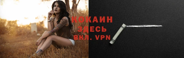 дживик Абинск