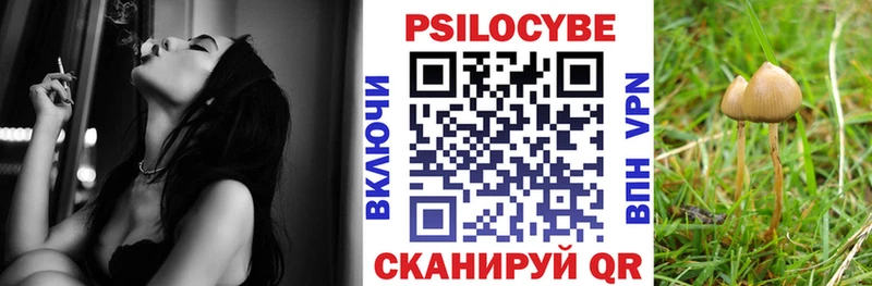 Галлюциногенные грибы Psilocybine cubensis Полярный
